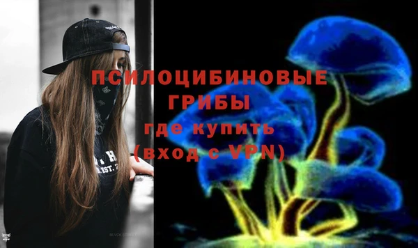 сатива Домодедово