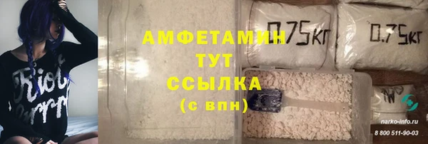 хмурый Лагань