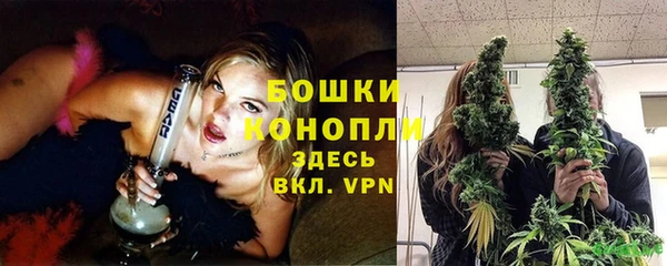крисы Лабытнанги