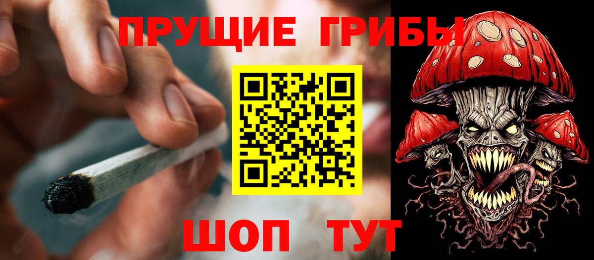Галлюциногенные грибы GOLDEN TEACHER  Галлюциногенные грибы ЛСД  Вход с VPN  Одинцово 