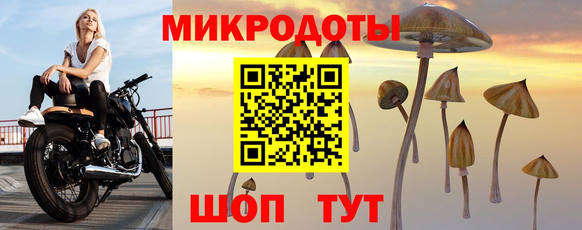 Галлюциногенные грибы мухоморы Одинцово